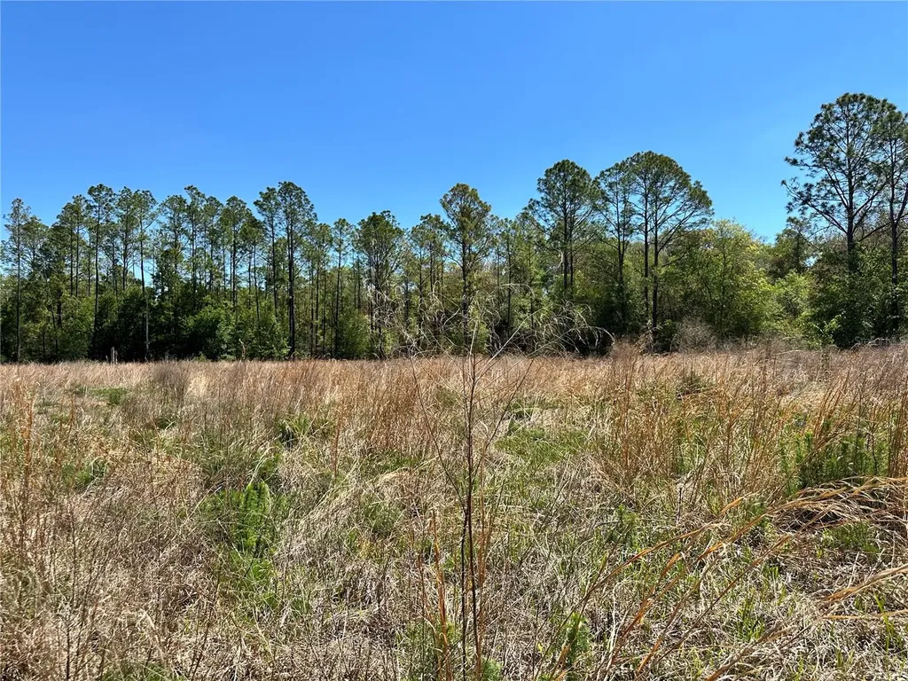 Tbd NE 128th Lane Bronson FL 32621