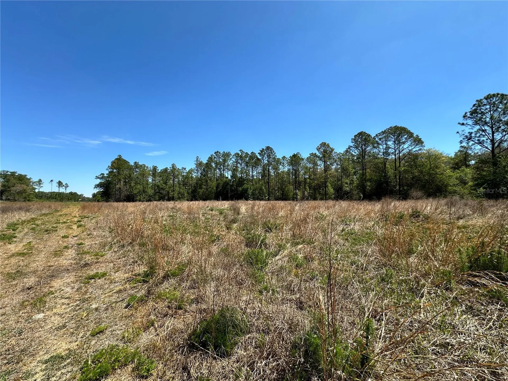 Tbd NE 128th Lane Bronson FL 32621