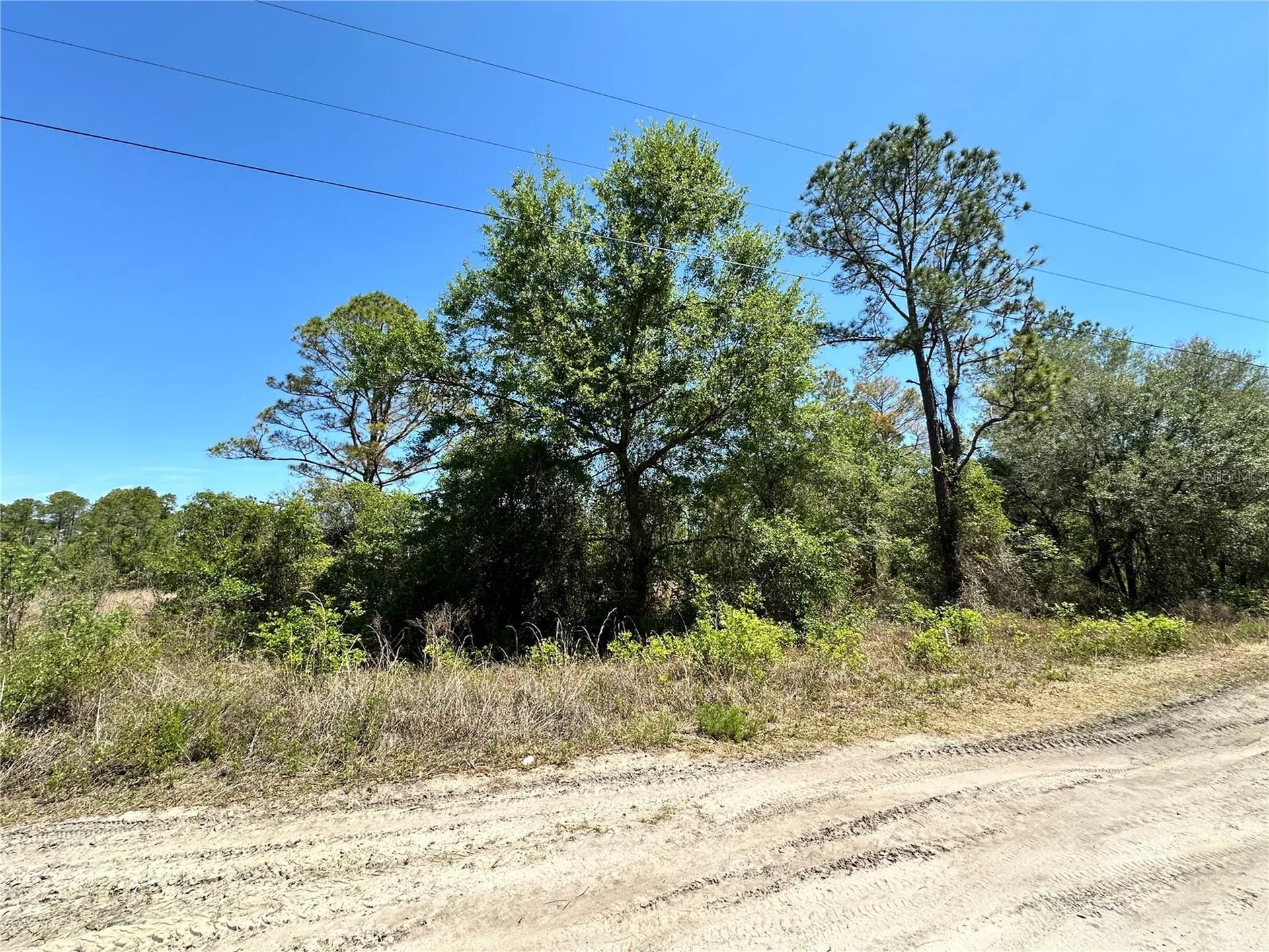 Tbd NE 128th Lane Bronson FL 32621