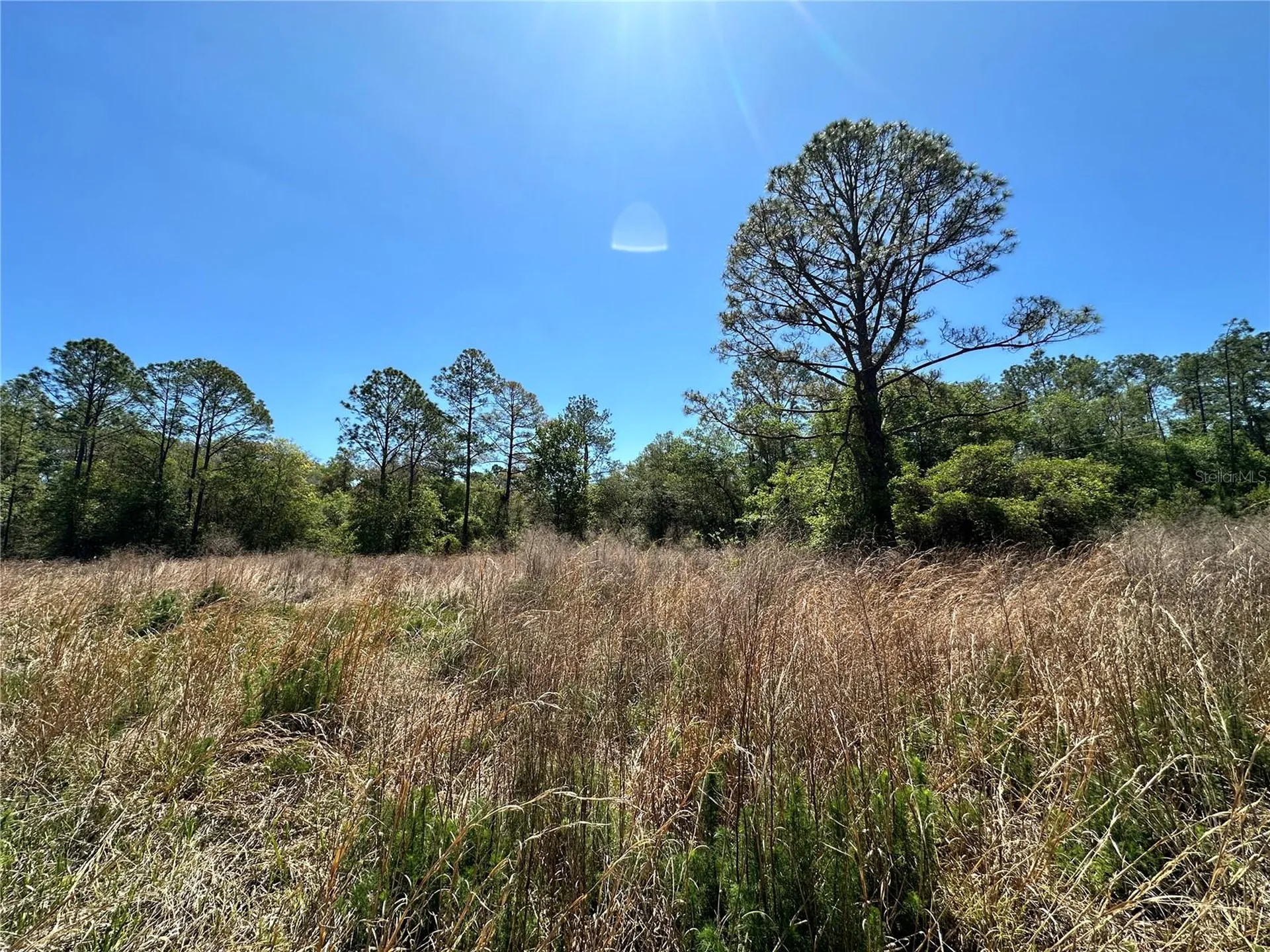 Tbd NE 128th Lane Bronson FL 32621