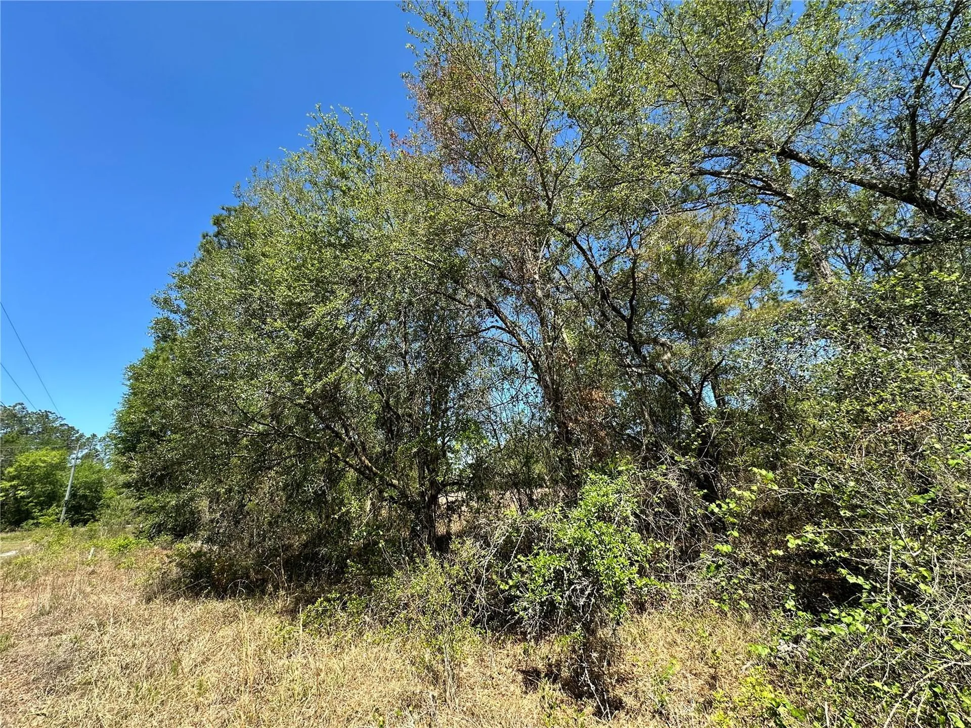 Tbd NE 128th Lane Bronson FL 32621