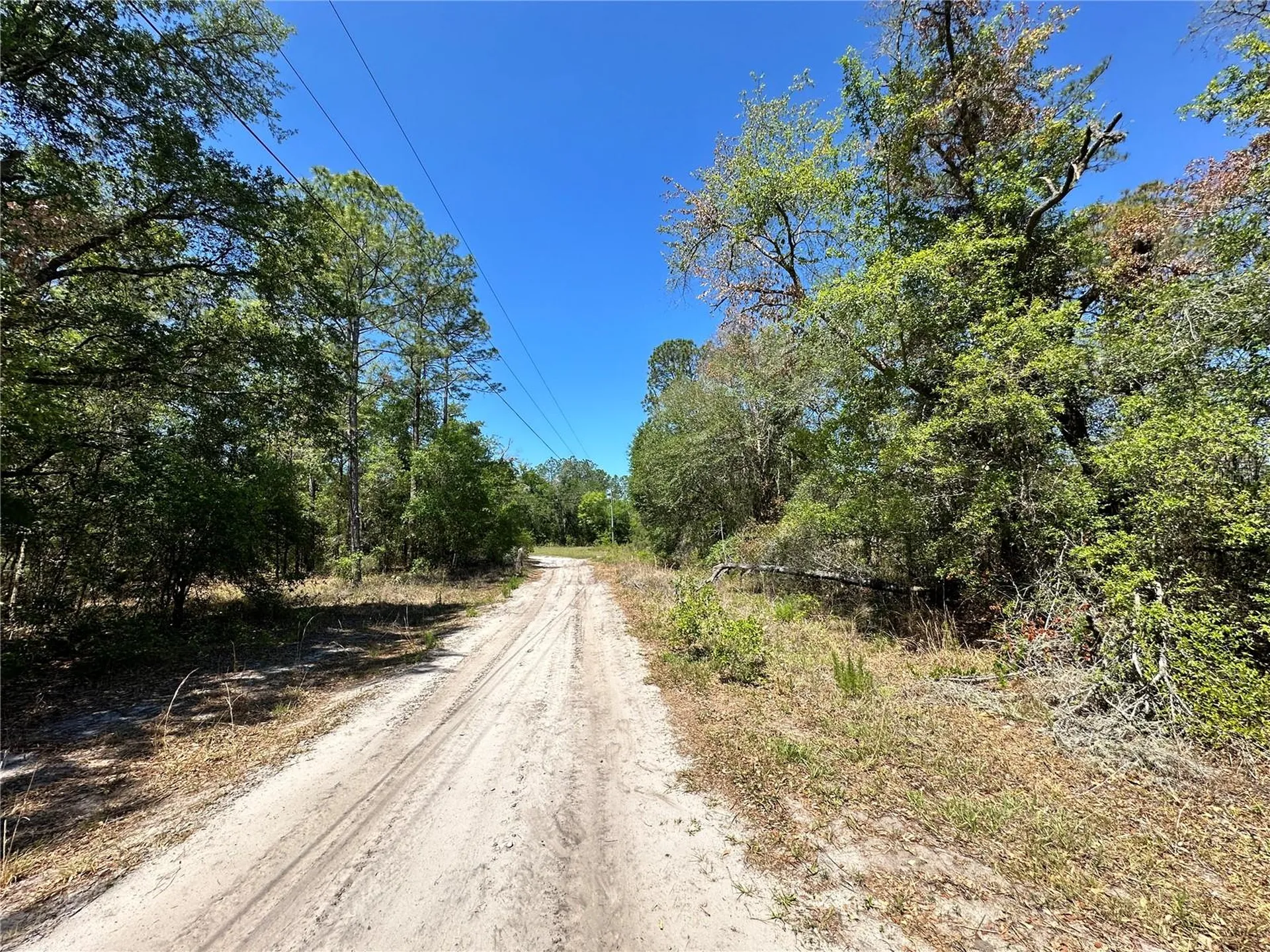 Tbd NE 128th Lane Bronson FL 32621