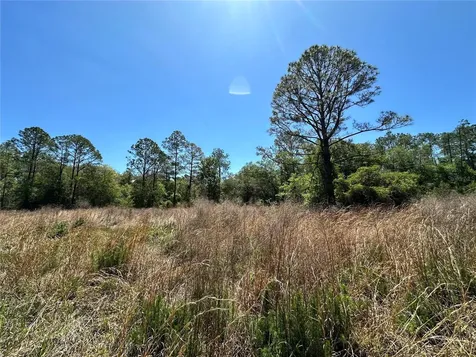 Tbd NE 128th Lane Bronson FL 32621