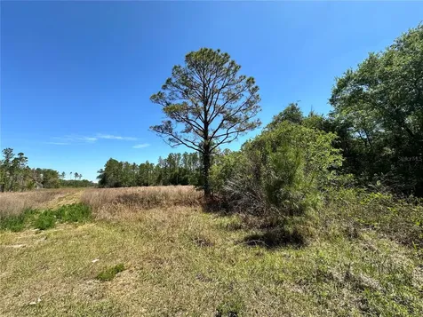 Tbd NE 128th Lane Bronson FL 32621