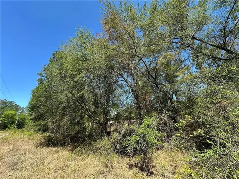 Tbd NE 128th Lane Bronson FL 32621