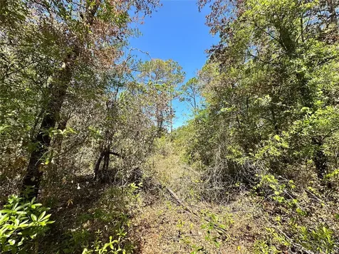 Tbd NE 128th Lane Bronson FL 32621