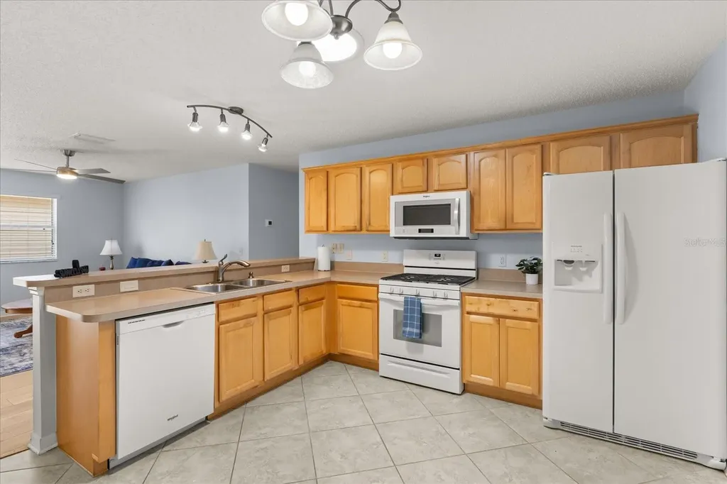 300 Varnville Way The Villages FL 32162
