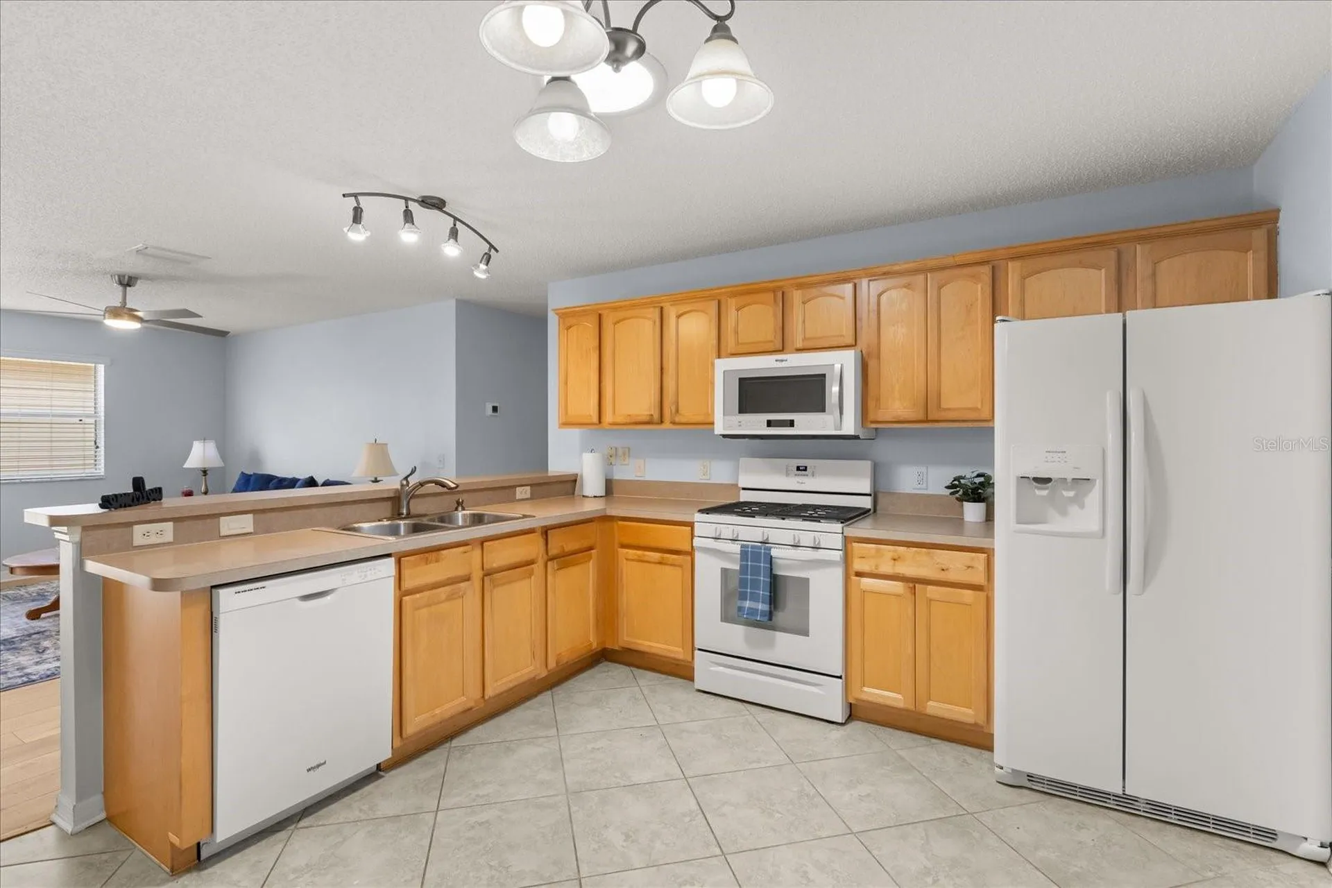 300 Varnville Way The Villages FL 32162