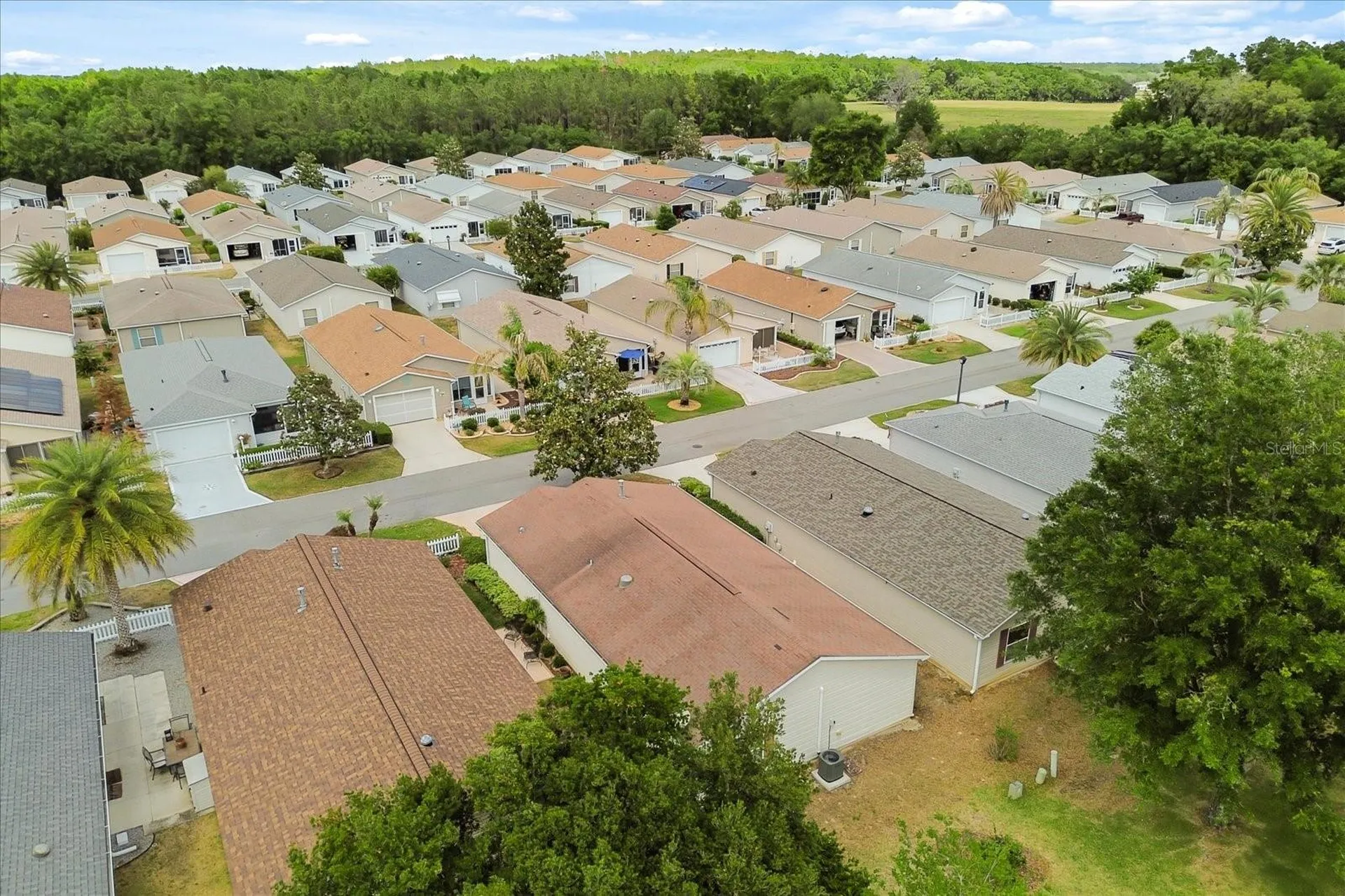 300 Varnville Way The Villages FL 32162