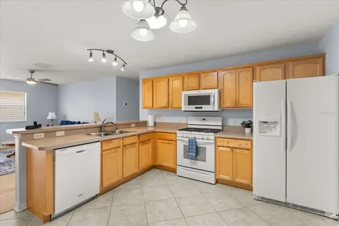 300 Varnville Way The Villages FL 32162