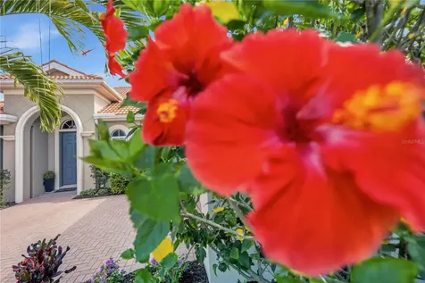 170 Montelluna Drive North Venice FL 34275