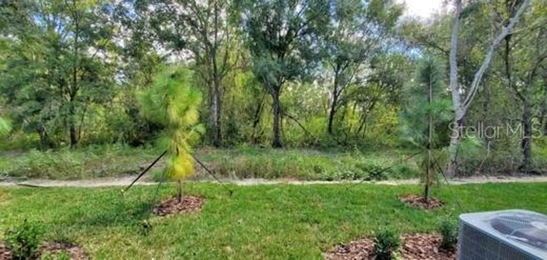 11859 Dumaine Valley Road Riverview FL 33579