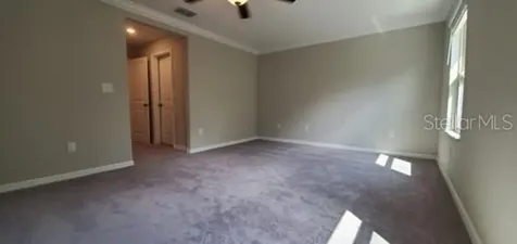 11859 Dumaine Valley Road Riverview FL 33579