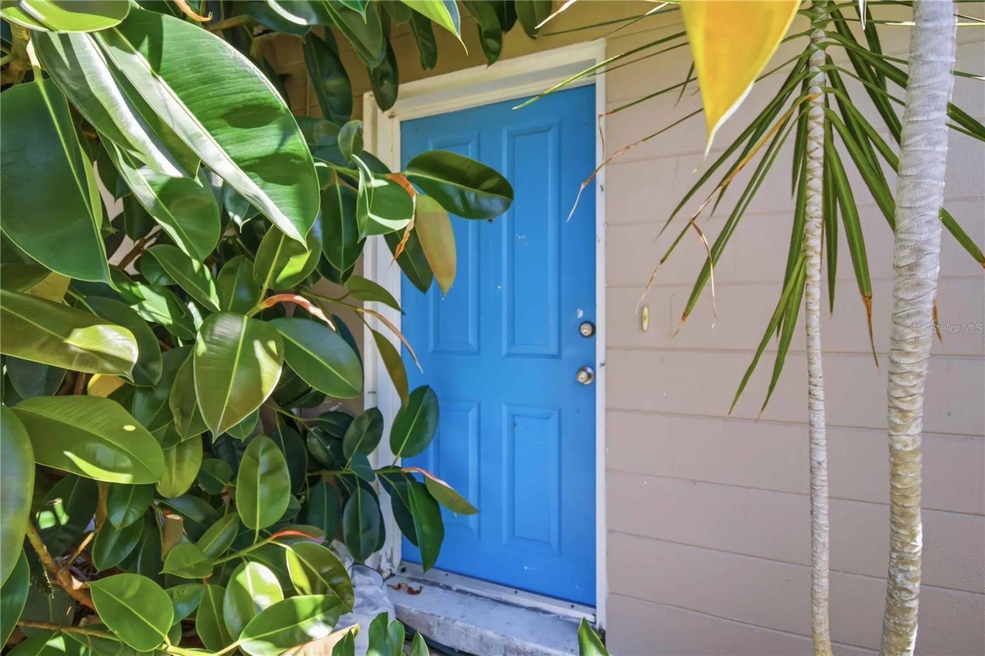 308 Lantana Avenue Sarasota FL 34243