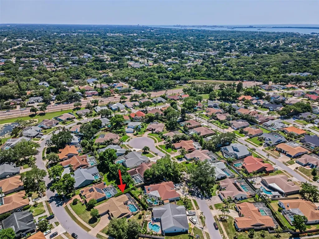2814 Jarvis Circle Palm Harbor FL 34683