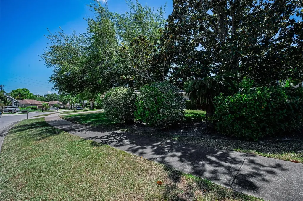 2814 Jarvis Circle Palm Harbor FL 34683