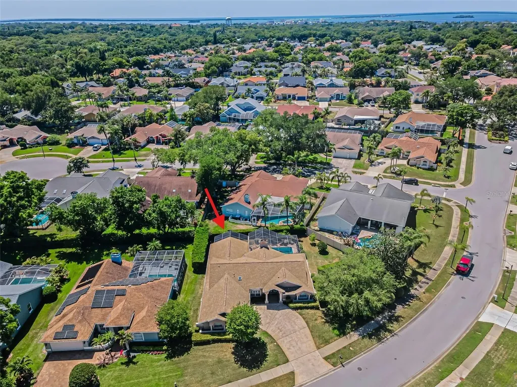 2814 Jarvis Circle Palm Harbor FL 34683