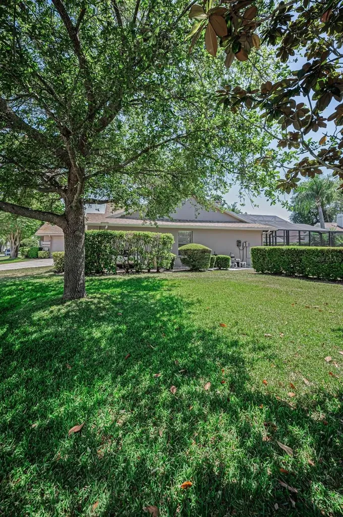 2814 Jarvis Circle Palm Harbor FL 34683