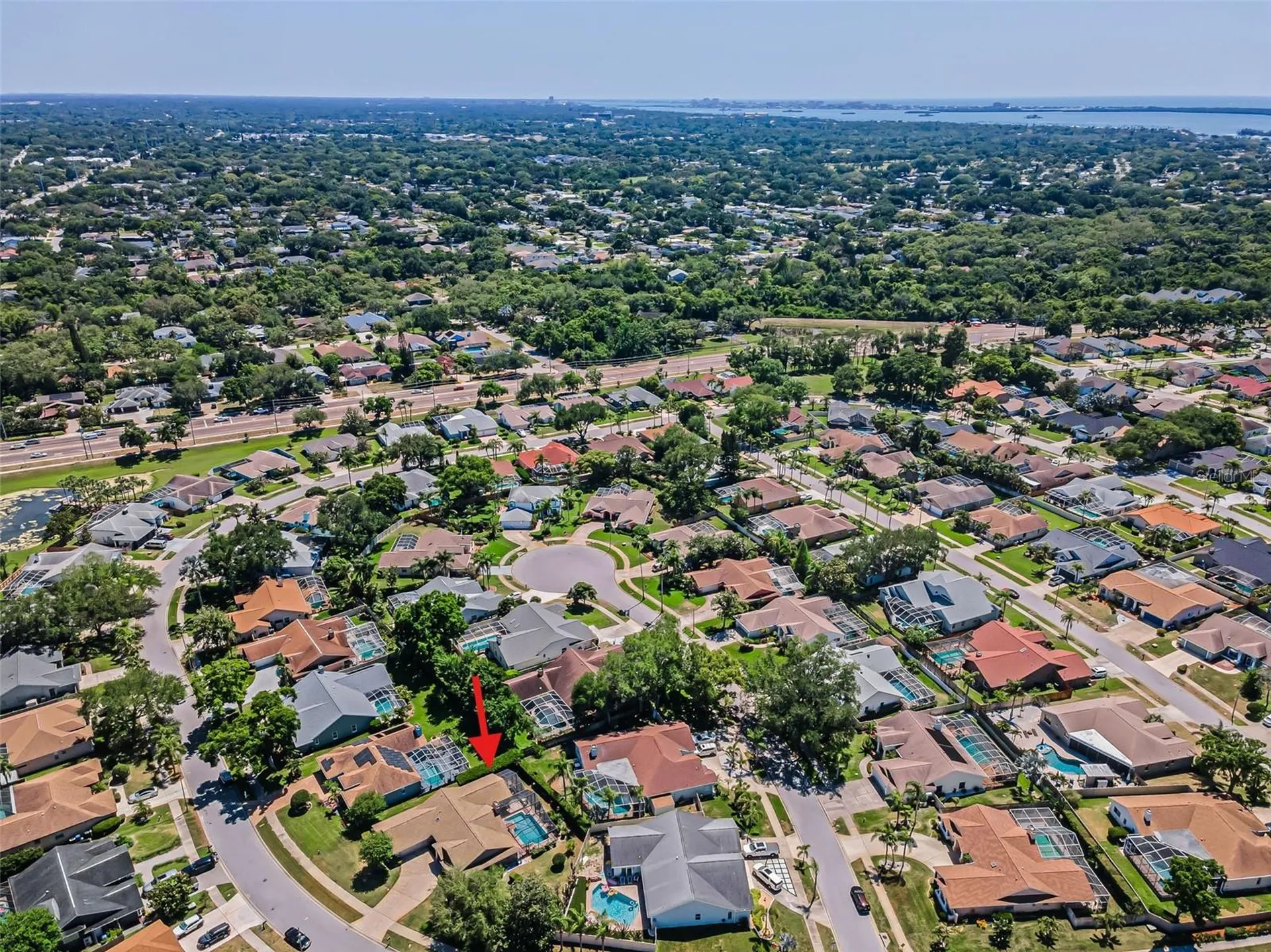 2814 Jarvis Circle Palm Harbor FL 34683