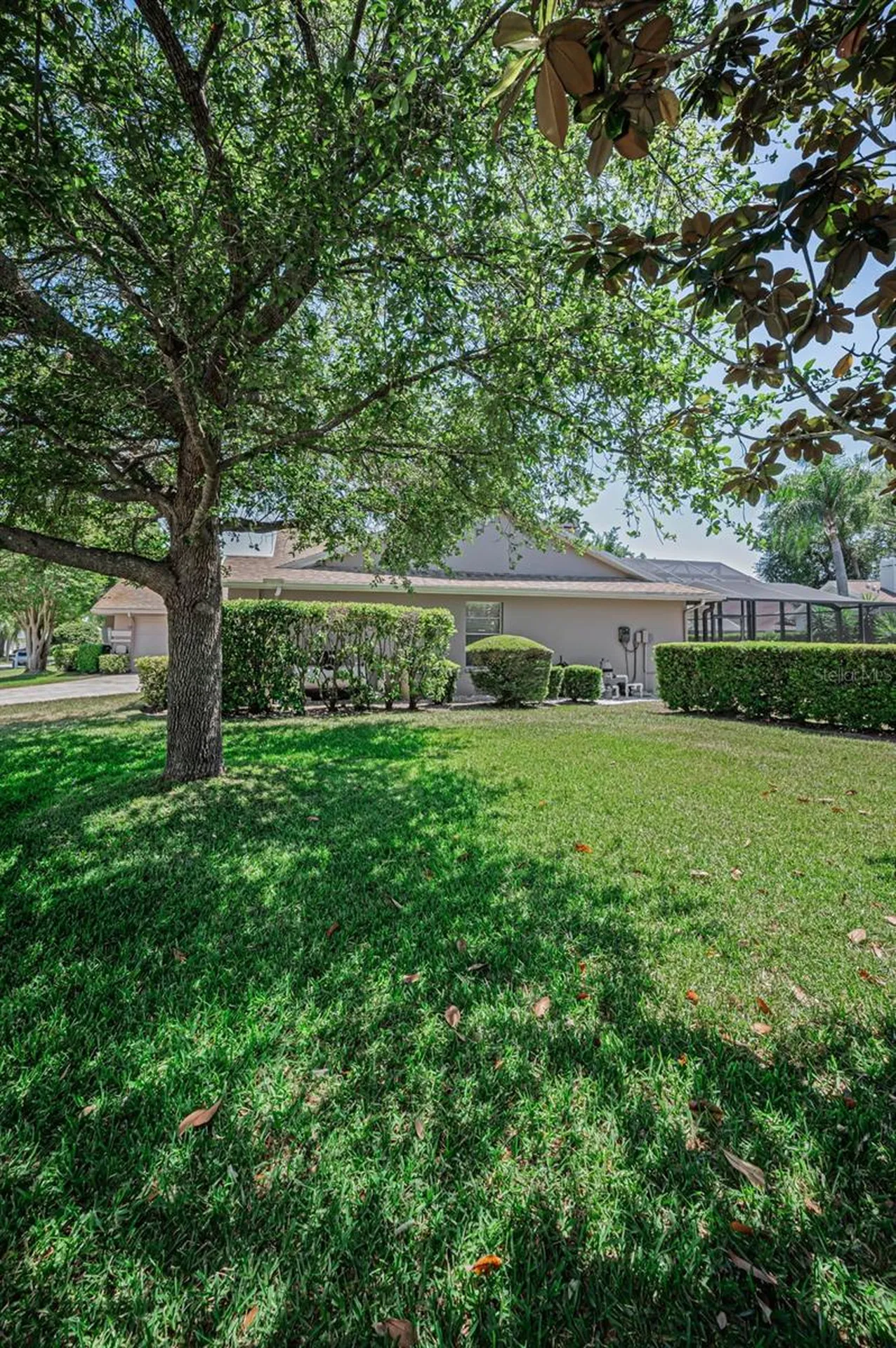 2814 Jarvis Circle Palm Harbor FL 34683