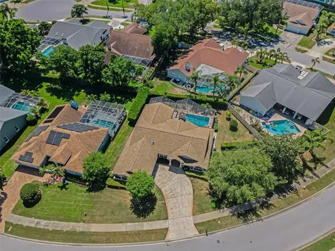 2814 Jarvis Circle Palm Harbor FL 34683