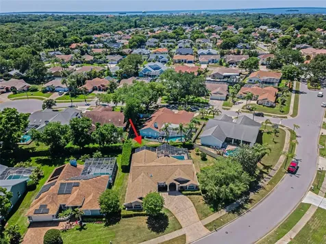 2814 Jarvis Circle Palm Harbor FL 34683