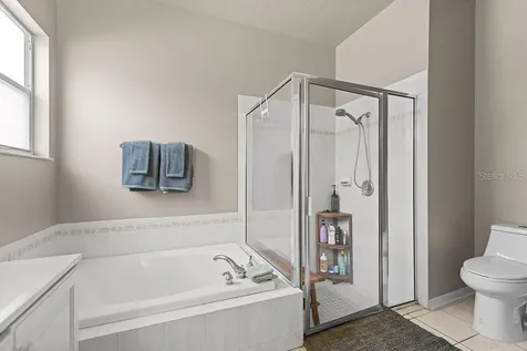 1708 Crossvine Court Trinity FL 34655