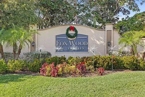 1708 Crossvine Court Trinity FL 34655