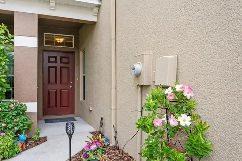 12474 Streamdale Drive Tampa FL 33626