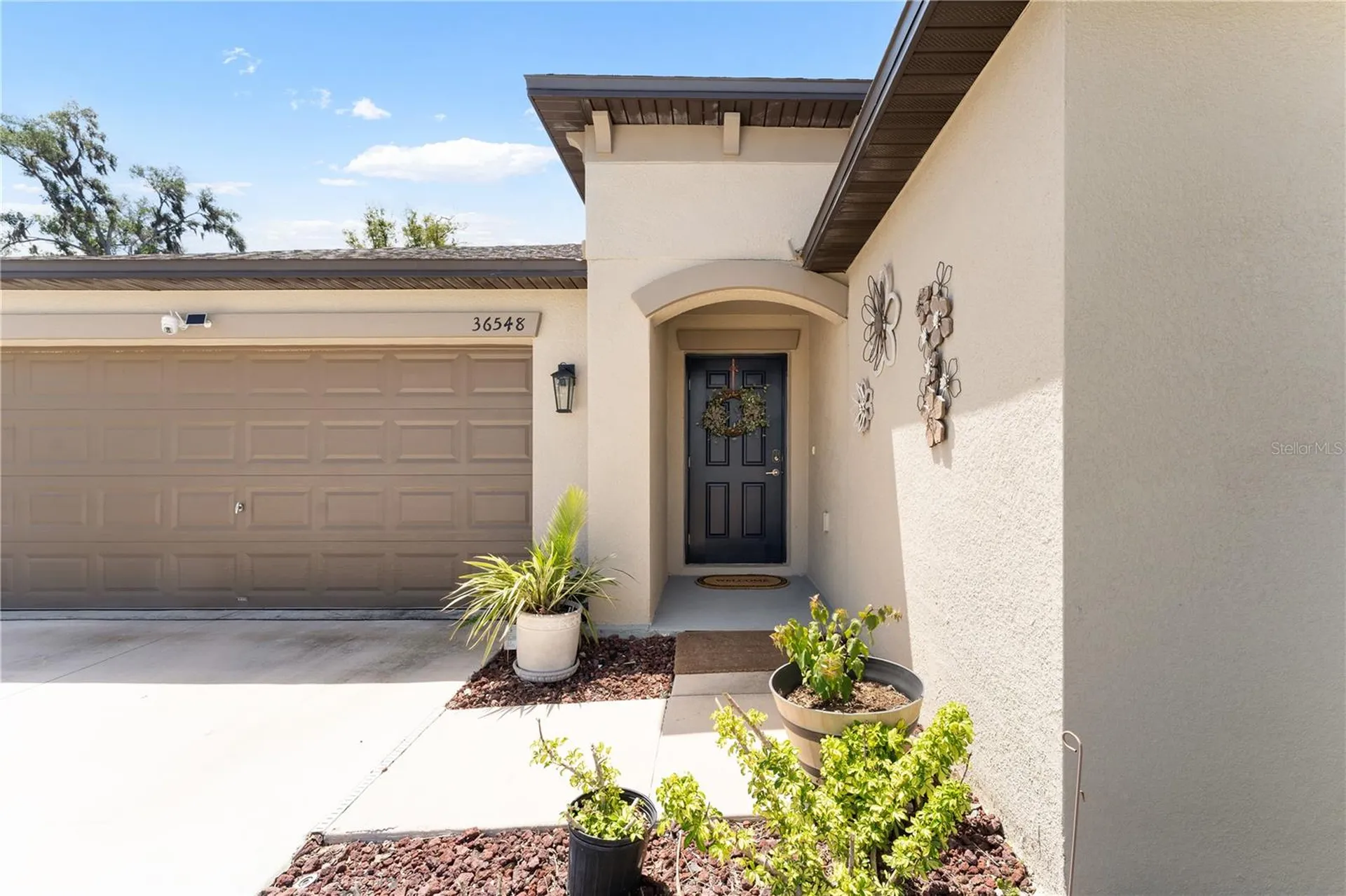 36548 Garden Wall Way Zephyrhills FL 33541