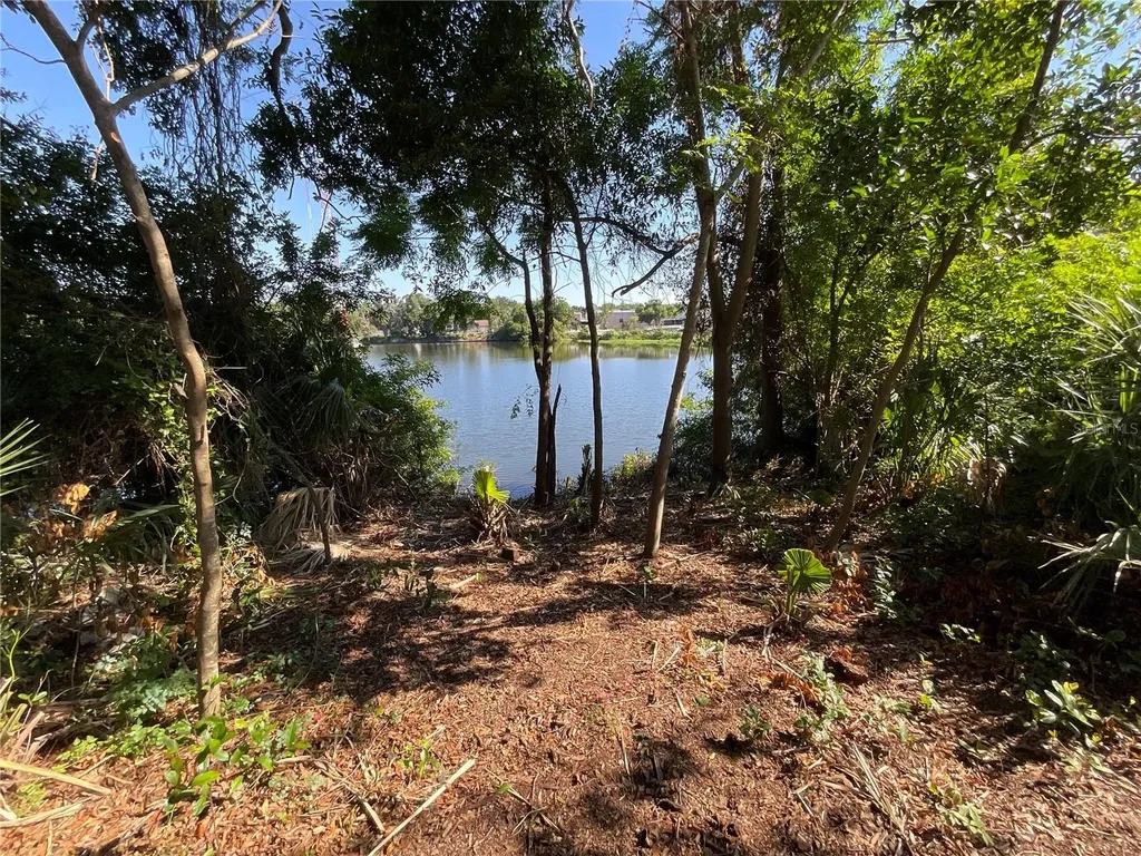 1135 7th Street N Safety Harbor FL 34695