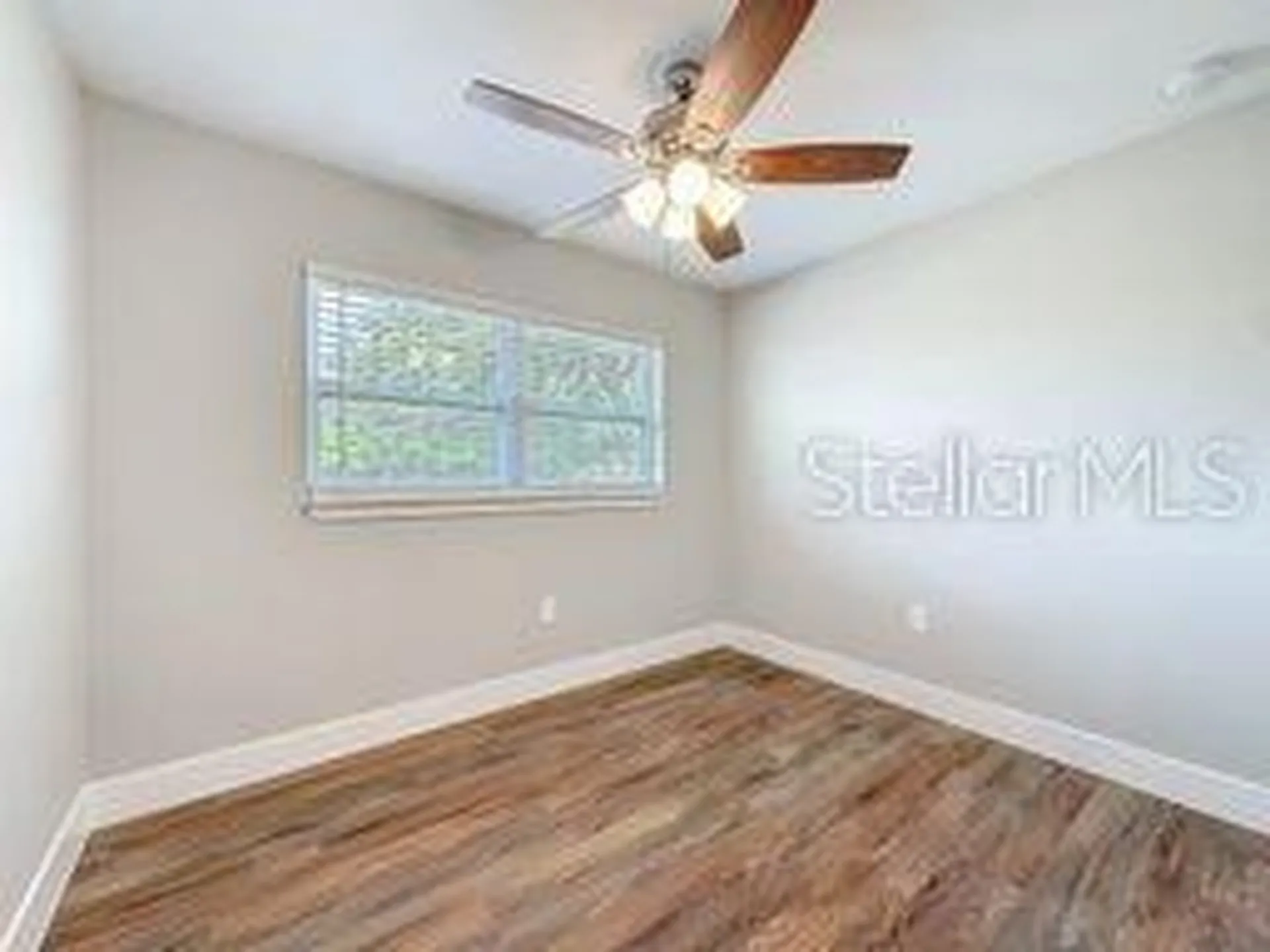 4305 Wallace Circle Tampa FL 33611