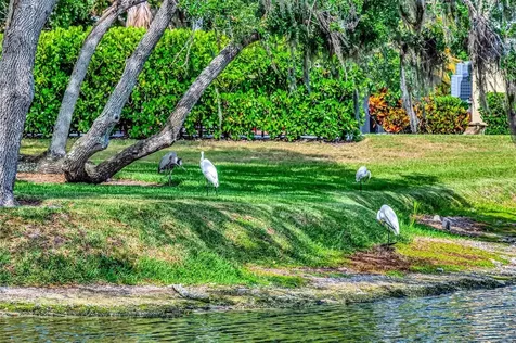 1846 Amberwynd Circle W Palmetto FL 34221