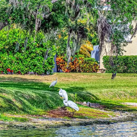 1846 Amberwynd Circle W Palmetto FL 34221