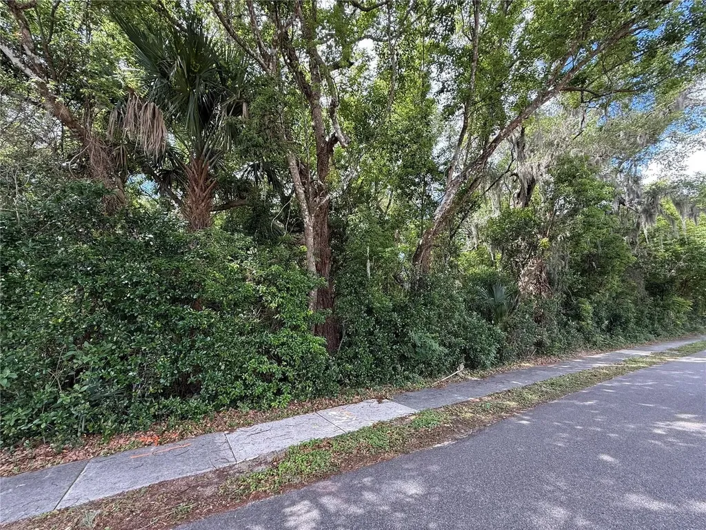 Tbd King Avenue Zellwood FL 32798
