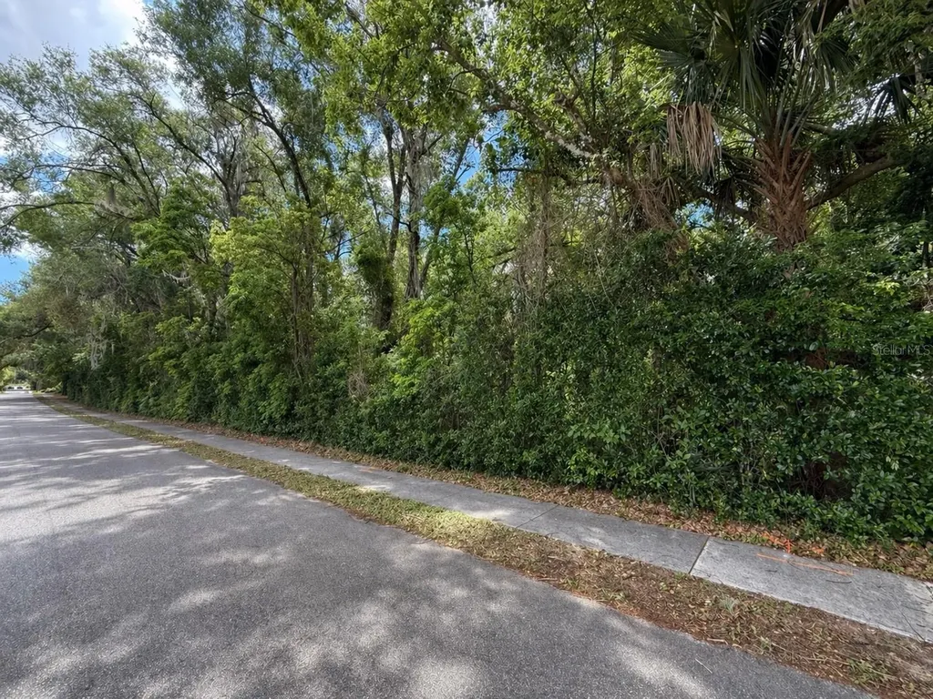Tbd King Avenue Zellwood FL 32798