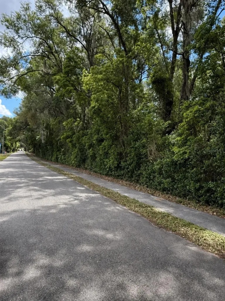 Tbd King Avenue Zellwood FL 32798