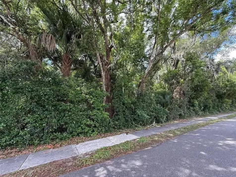 TBD King Avenue Zellwood FL 32798