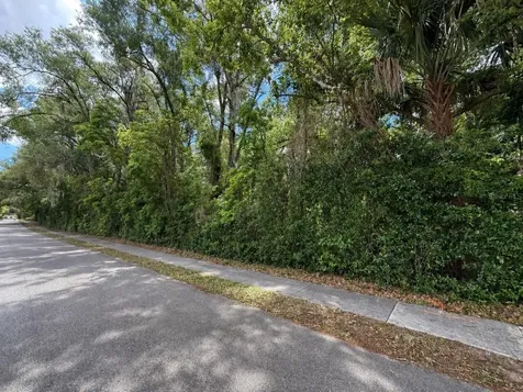 TBD King Avenue Zellwood FL 32798