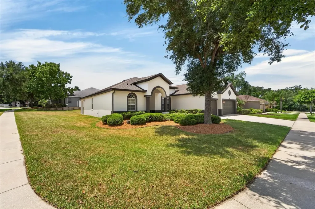 2309 Silver Trumpet Court Valrico FL 33594