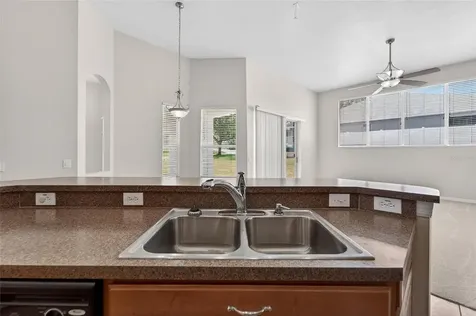 2309 Silver Trumpet Court Valrico FL 33594
