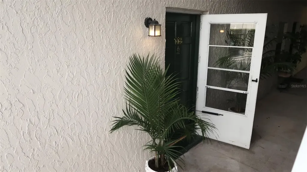4315 Aegean Drive Tampa FL 33611