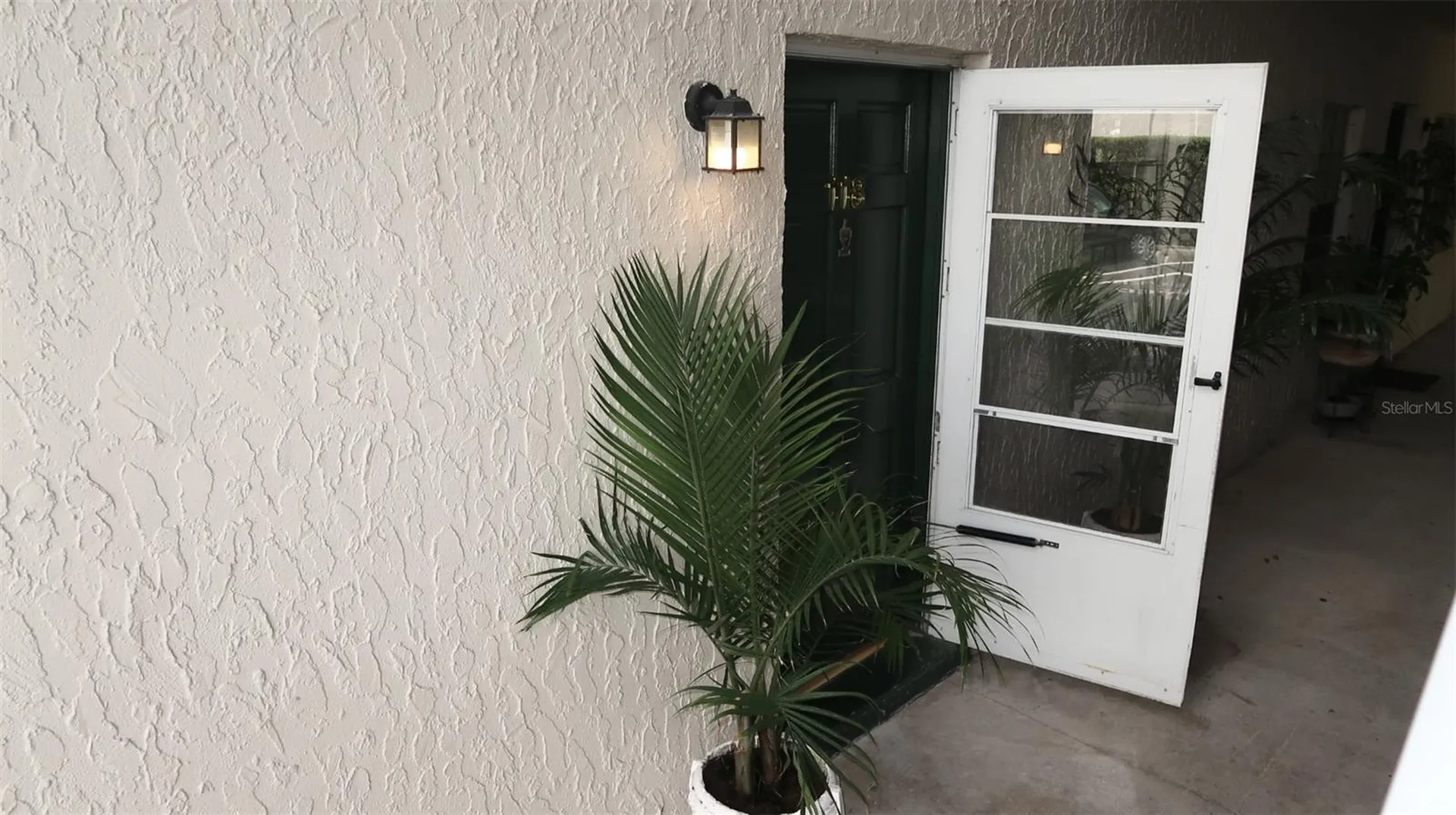 4315 Aegean Drive Tampa FL 33611