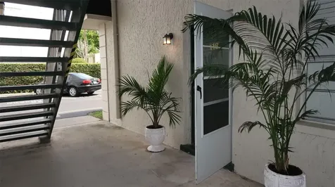 4315 Aegean Drive Tampa FL 33611