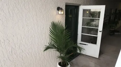 4315 Aegean Drive Tampa FL 33611