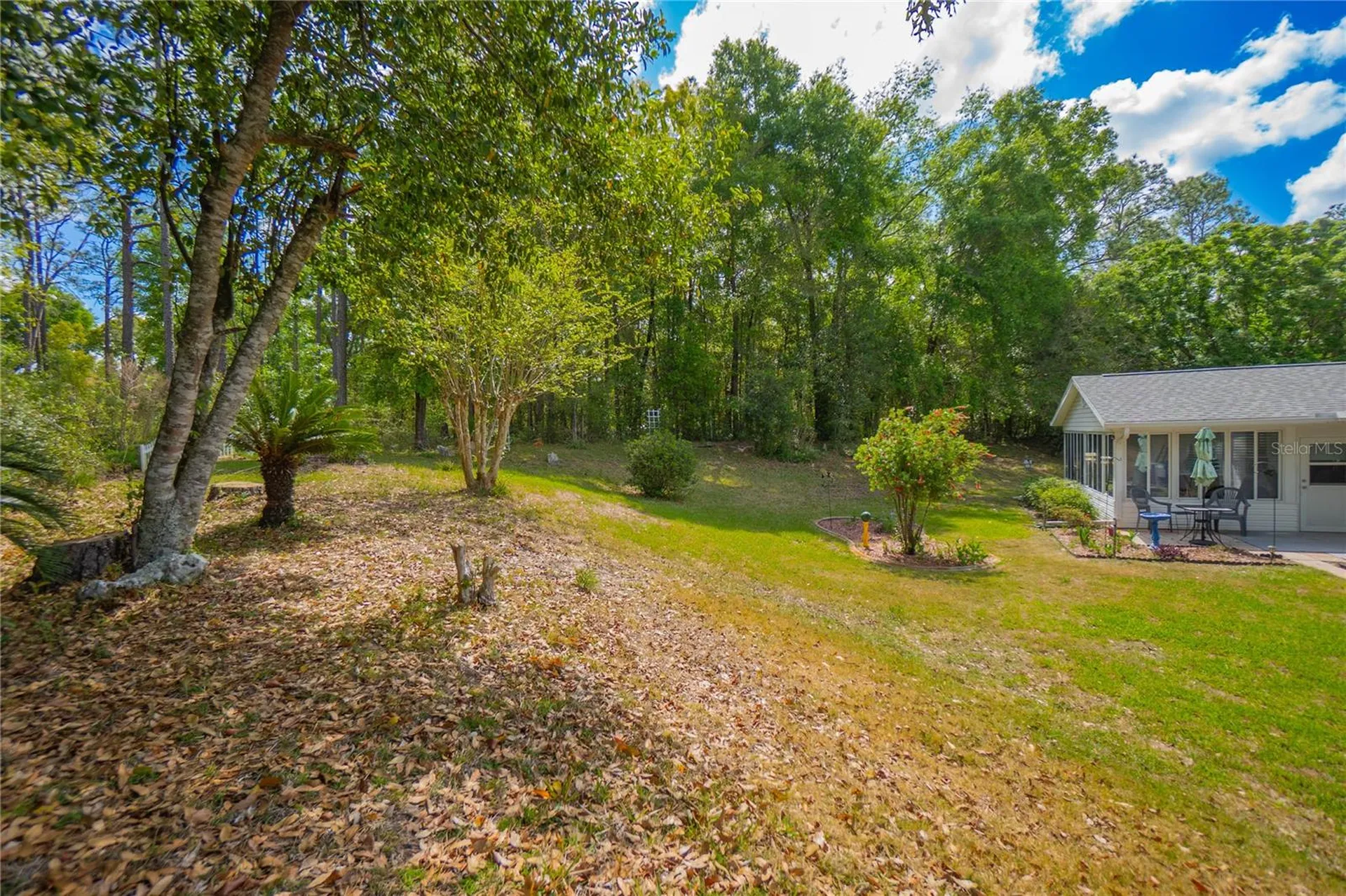 8067 SW 116th Loop Ocala FL 34481