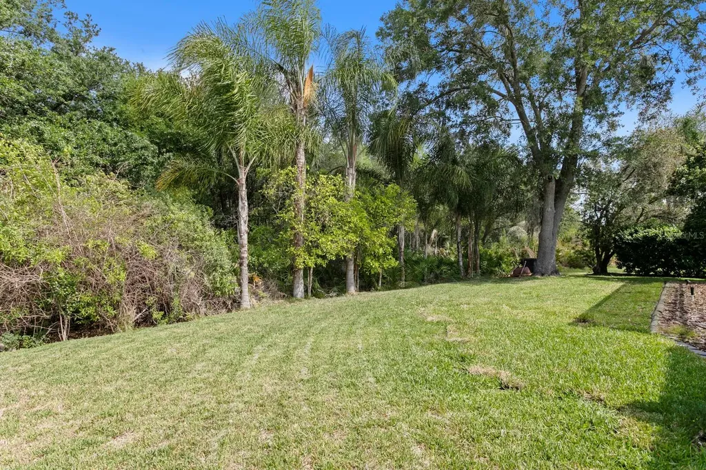 17888 Arbor Greene Drive Tampa FL 33647