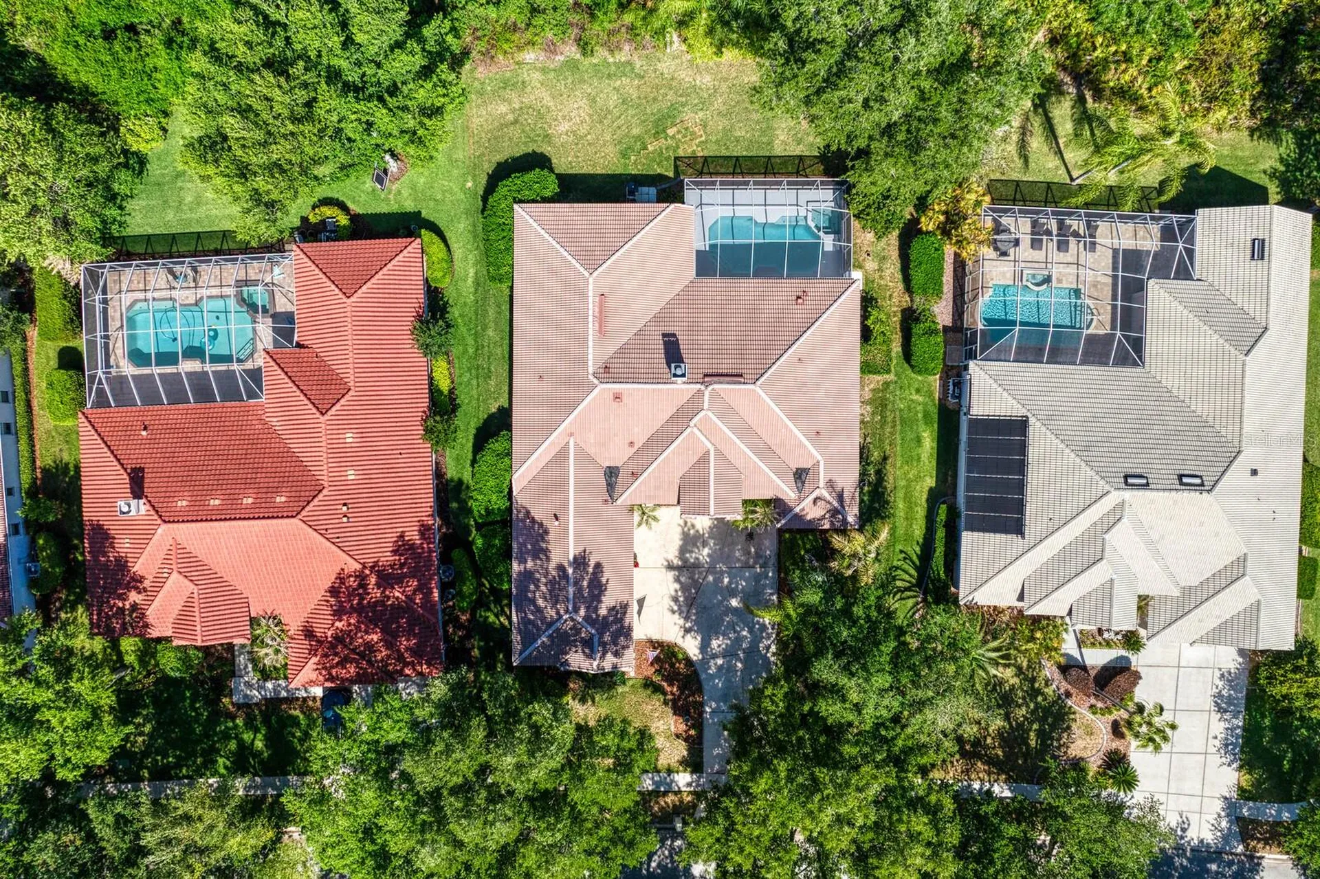 17888 Arbor Greene Drive Tampa FL 33647