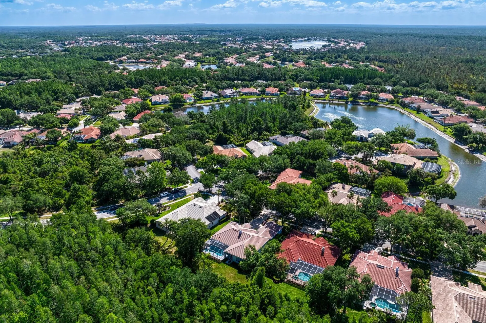 17888 Arbor Greene Drive Tampa FL 33647