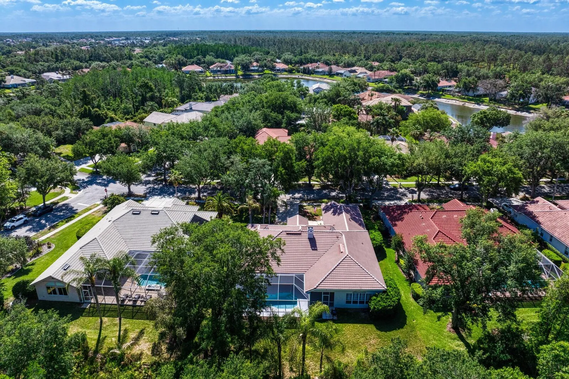 17888 Arbor Greene Drive Tampa FL 33647